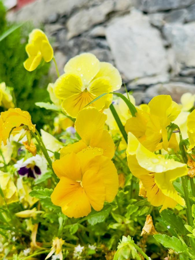 Orgventure Resorts Skardu Kültér fotó